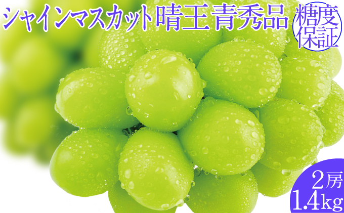 2026年予約受付中 シャインマスカット晴王 7月～8月出荷 2房 約1.4kg  人気 岡山県産 種無し 皮ごと食べる みずみずしい  フレッシュ 晴れの国 おかやま 果物大国 ハレノフルーツ