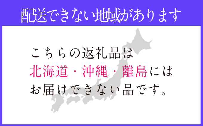 2026年予約受付中 シャインマスカット晴王 7月～8月出荷 2房 約1.4kg  人気 岡山県産 種無し 皮ごと食べる みずみずしい  フレッシュ 晴れの国 おかやま 果物大国 ハレノフルーツ