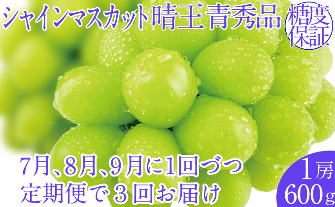 �y���R���ʖ�s�z2026�N�\���t���y3�����ցz�V���C���}�X�J�b�g���� 1�[ ��600g 7��8��9���ɏo�� �l�C ���R���Y �햳�� �炲�ƐH�ׂ� �݂��݂�����   ������� �ʕ��卑 �n���m�t���[�c