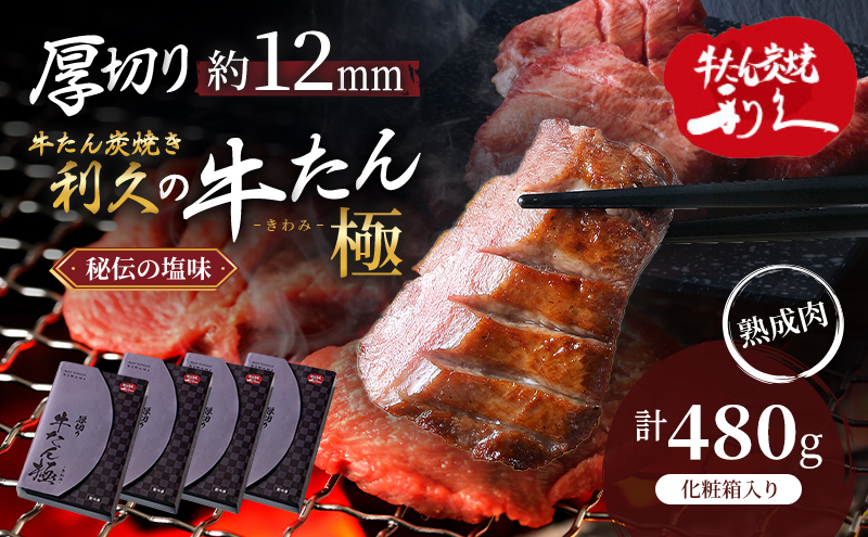 【特別寄附額】 牛タン 極 480g (120g×4個) セット 利久 牛たん 熟成肉 タン塩 厚切り牛タン 牛 牛肉 肉 お肉 タン タン中 タン元 厚切り 焼肉 焼き肉 惣菜 おかず ごはんのお供 ギフト プレゼント お歳暮 お土産 冷凍 冷凍配送 宮城 宮城県 岩沼市