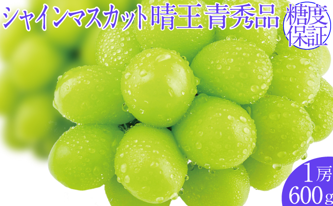 �y���R���ʖ�s�z2026�N�\���t�� �V���C���}�X�J�b�g���� 1�[ ��600g  7���`8���o�� �l�C ���R���Y �햳�� �炲�ƐH�ׂ� �݂��݂�����  �t���b�V�� ����̍� ������� �ʕ��卑 �n���m�t���[�c