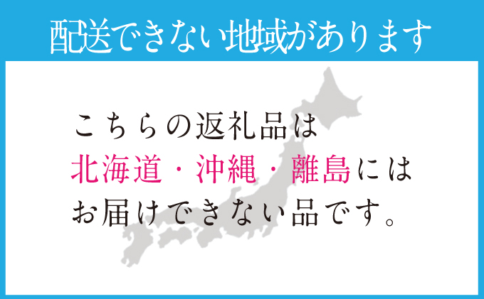 2026年 先行予約受付中【2回定期便】シャインマスカット晴王2房 約1.3kg 岡山県産 種無し 皮ごと食べる みずみずしい 甘い フレッシュ 瀬戸内 晴れの国 おかやま 果物大国 ハレノフルーツ