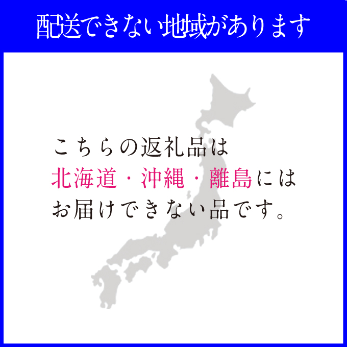 2026年予約受付中【 2回定期便】 プレミアムシャインマスカット晴王 2房約1.2kg 人気 岡山県産 赤秀品  種無し 皮ごと食べる みずみずしい  ハレノフルーツ
