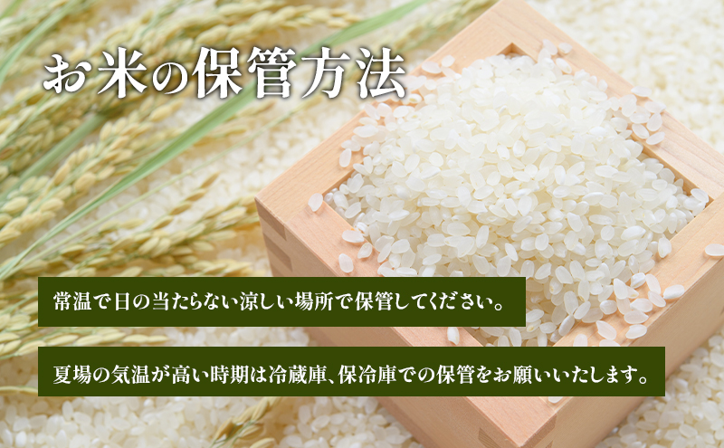 ぬーぴー お米【ひとめぼれ 10kg】R3年新米/5kg×2/精米 白米 米 ひとめぼれ 10kg (5kg×2) タカラ米穀 岩沼産 お米 白米 精米