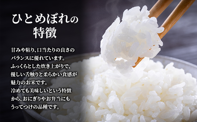 ぬーぴー お米【ひとめぼれ 10kg】R3年新米/5kg×2/精米 白米 米 ひとめぼれ 10kg (5kg×2) タカラ米穀 岩沼産 お米 白米 精米