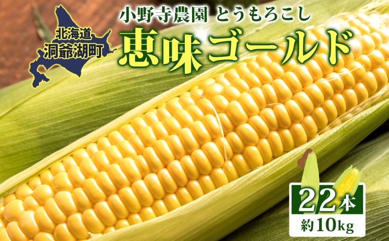 ykCΒzkC Ƃ낱 bS[h 10kg 22{ 2026N8{`͂gERV R[ Â Yn BBQ Ƃ Y lC o[xL[  kCY Β