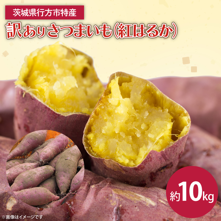 2025年12月より順次発送】茨城県産 紅はるか 訳あり サイズ