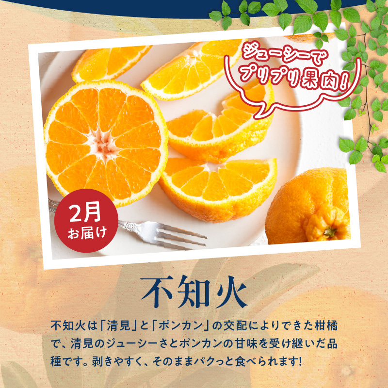 G60-T75_【定期便　偶数月6回】魚鶴商店堪能定期便