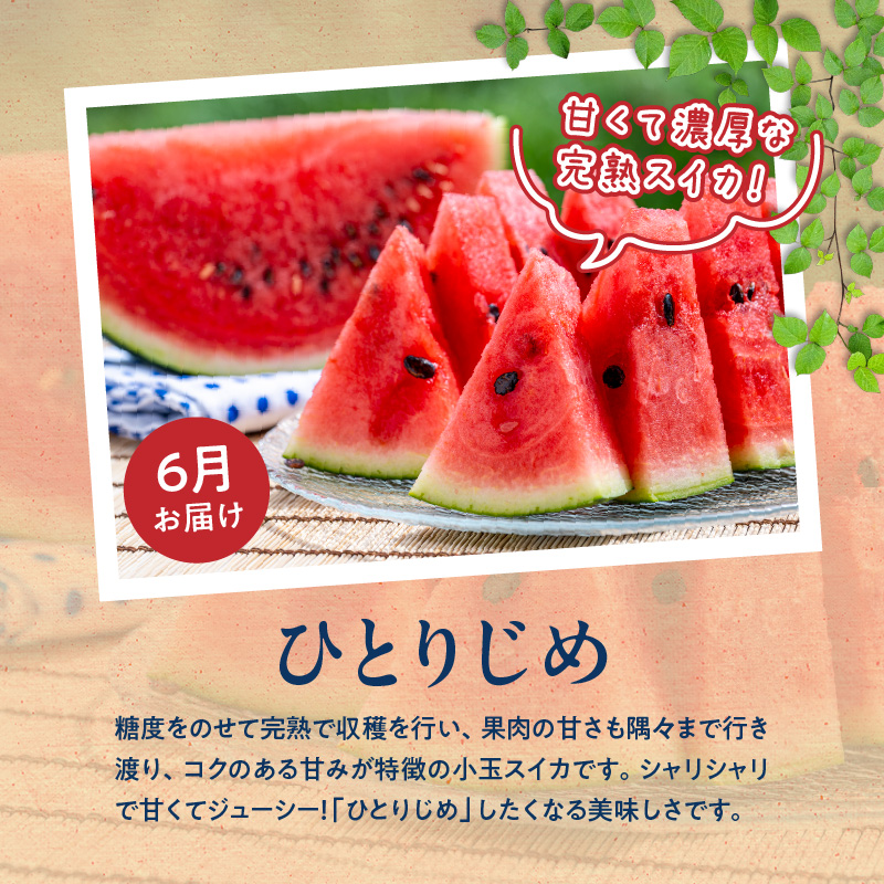 G60-T75_【定期便　偶数月6回】魚鶴商店堪能定期便