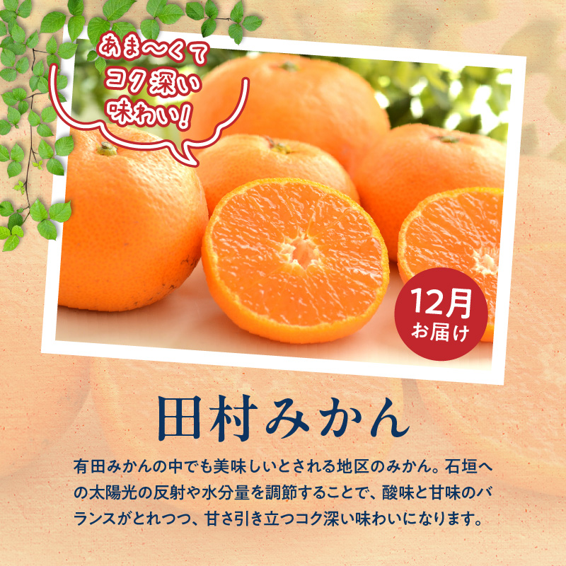 G60-T75_【定期便　偶数月6回】魚鶴商店堪能定期便