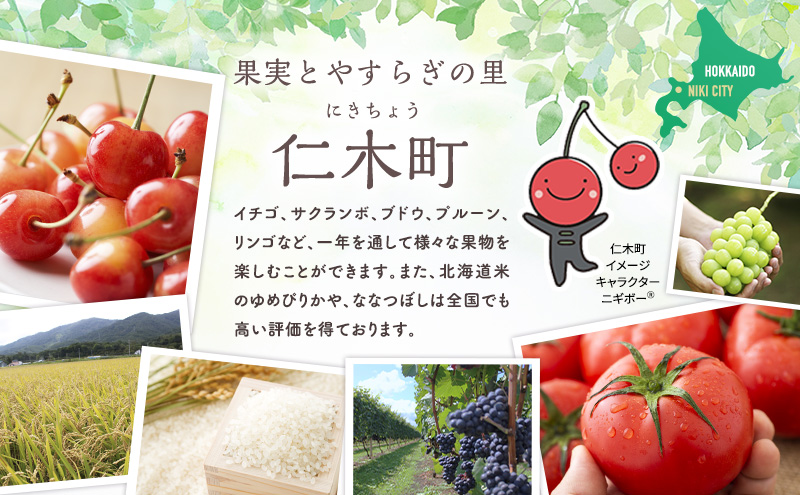 北海道仁木町のふるさと納税 JA新おたるのミニトマトジュース【かぐやひめ】1000ml×2本 果汁飲料 野菜飲料 トマト ミニトマト ジュース[JA新おたる]