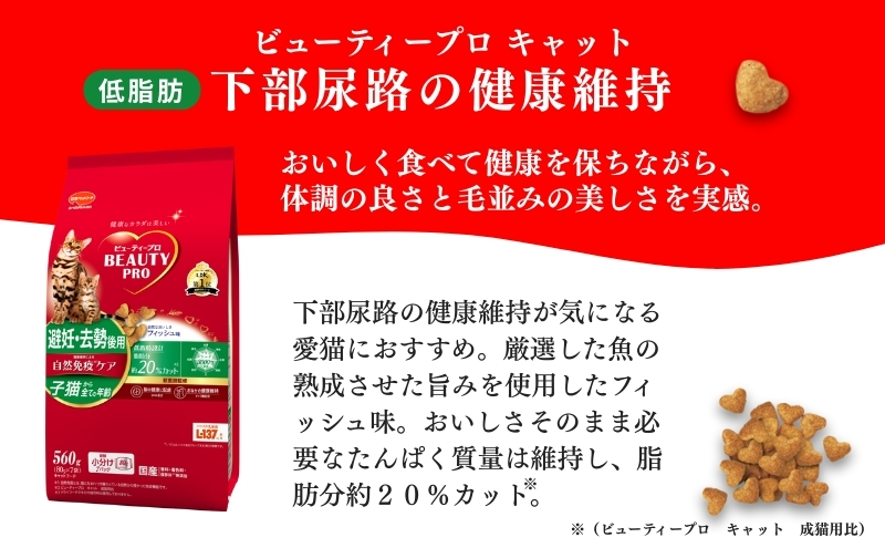 日本ペットフード ビューティプロ機能性 セット キャットフード