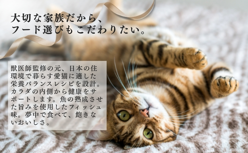 日本ペットフード ビューティープロ キャット 下部尿路の健康維持 1歳から 560g（80g×7袋入）×10袋（ケース） キャットフード