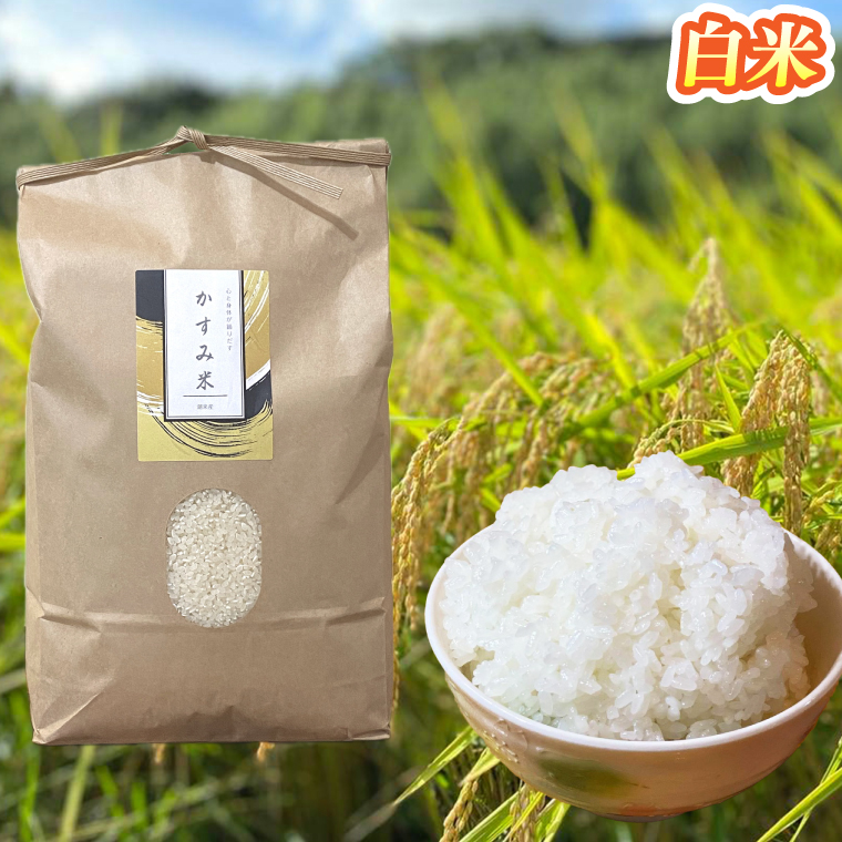 【2026年9月下旬より順次発送】★新米★R8年産 かすみ米 5kg(白米または玄米)【茨城県共通返礼品/潮来市】｜米 お米 新米 こめ かすみ米 5kg 白米 玄米 共通返礼品 茨城県共通返礼品 数量限定 先行予約 人気 送料無料(BI-88)
