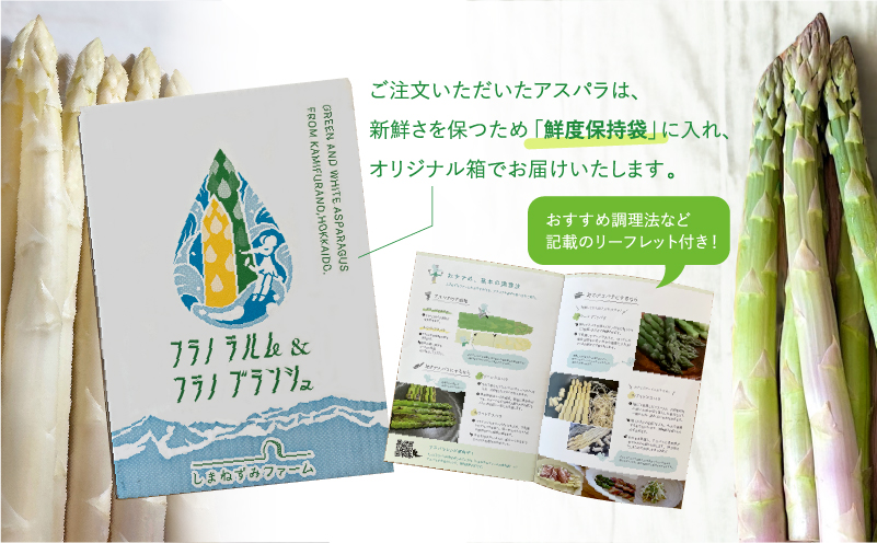 北海道上富良野町のふるさと納税 先行予約 【 2026年 発送 ！】 北海道 上富良野産 ホワイトアスパラガス 3L サイズ 400g アスパラ ホワイト アスパラガス 上富良野町 令和7年発送 野菜 やさい