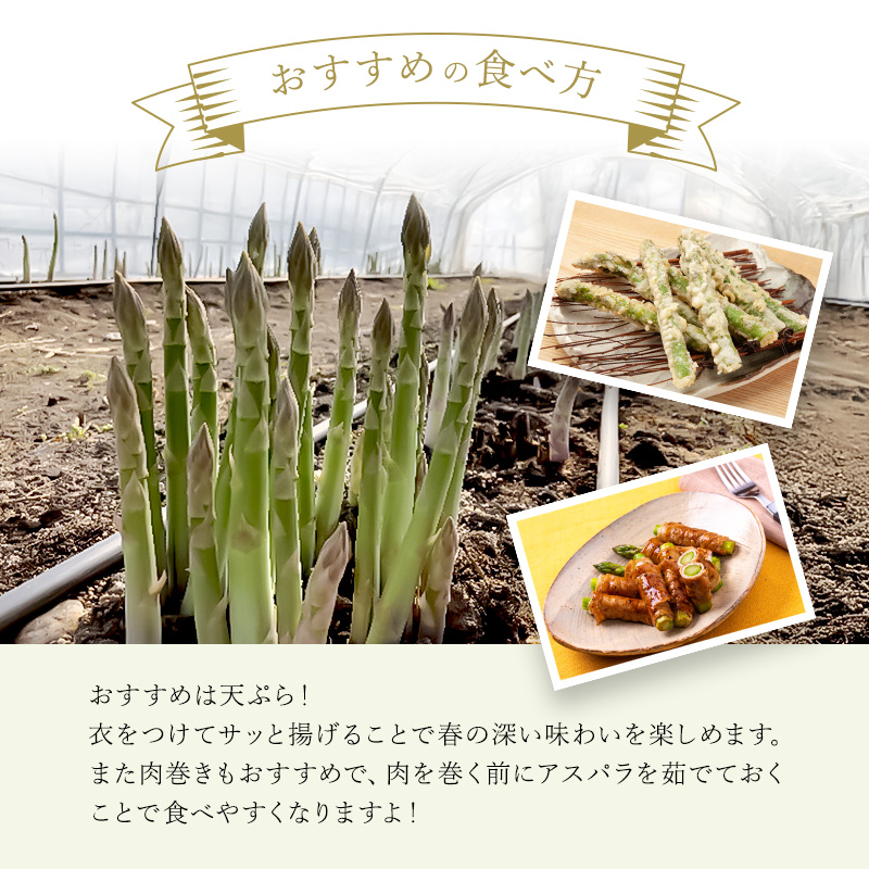 北海道上富良野町のふるさと納税 先行予約 【 2025年 発送 ！】 北海道 上富良野産 ホワイトアスパラガス 3L サイズ 500g アスパラ ホワイト アスパラガス 上富良野町 令和7年発送 野菜 やさい