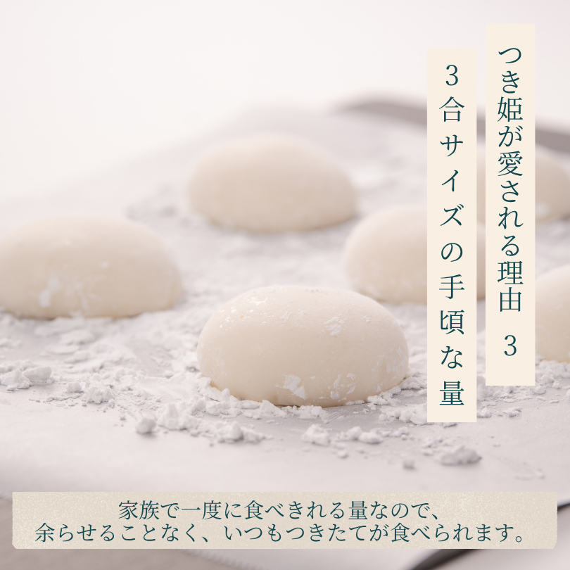 岡山県赤磐市のふるさと納税 みのる産業 3合餅つき機 つき姫 リッチホワイト 餅つき機 ホワイト