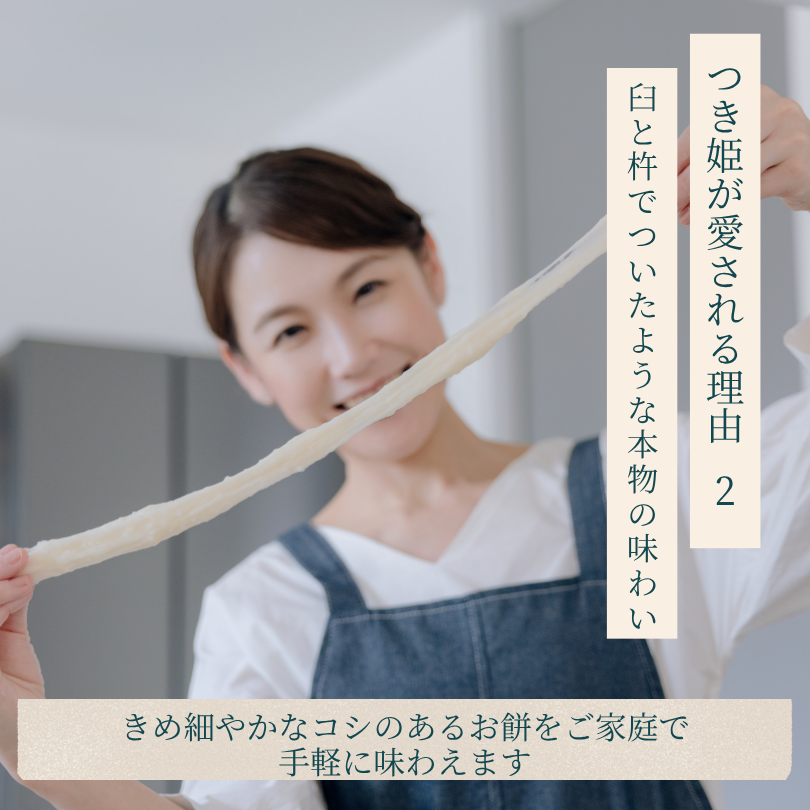 岡山県赤磐市のふるさと納税 みのる産業 3合餅つき機 つき姫 リッチホワイト 餅つき機 ホワイト