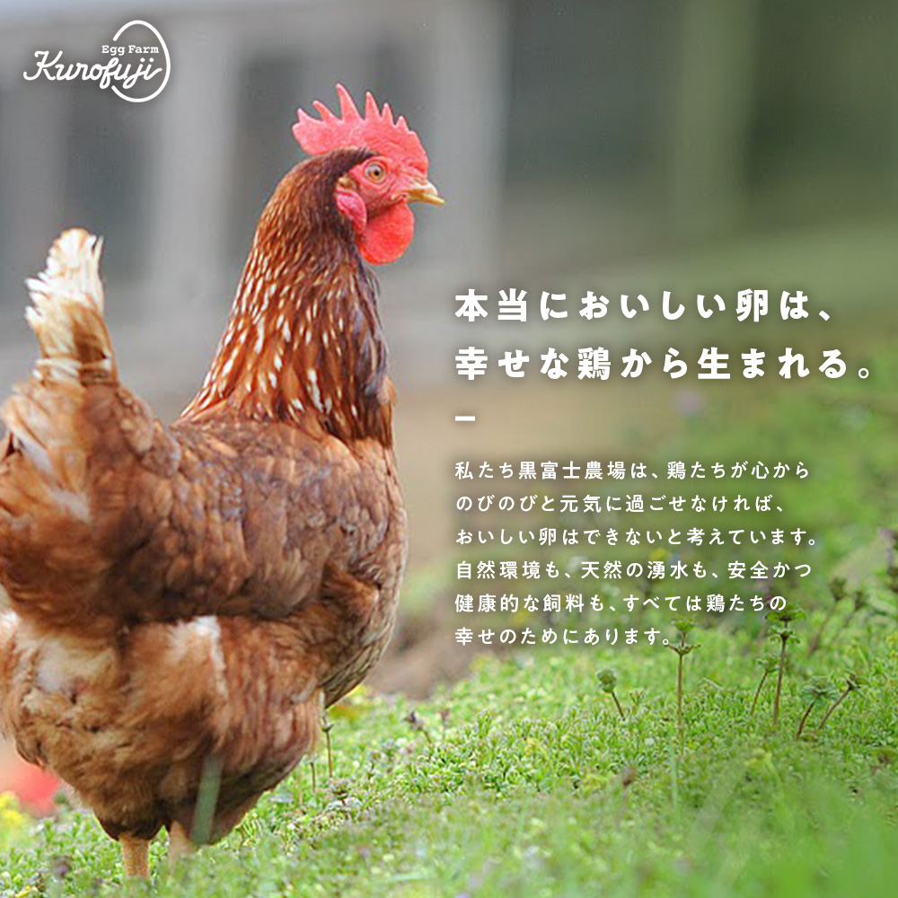 山梨県甲斐市のふるさと納税 放牧卵18個×6ヶ月　人気　おすすめ　国産　贈答　ギフト　お取り寄せ　卵　たまご　タマゴ　玉子　鶏卵　自然卵　放牧卵　平飼い　新鮮　たまごかけご飯