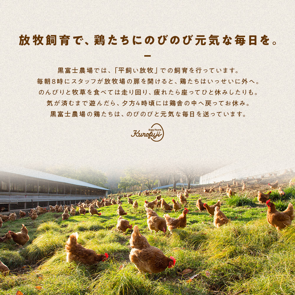 山梨県甲斐市のふるさと納税 放牧卵18個×6ヶ月　人気　おすすめ　国産　贈答　ギフト　お取り寄せ　卵　たまご　タマゴ　玉子　鶏卵　自然卵　放牧卵　平飼い　新鮮　たまごかけご飯