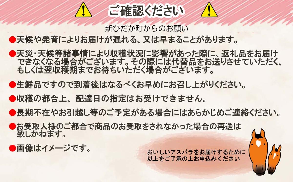 ＜2026年4月中旬より順次発送＞ 北海道産 春採り グリーン アスパラガス 1kg Mサイズ ＜予約受付＞
