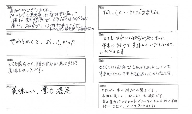 【4等級以上】【近江牛　肩ロース】すき焼・しゃぶしゃぶ用【500ｇ】【BI01W】