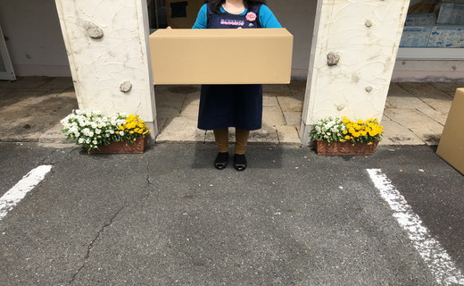 ごろ寝ふとん（長座布団）【CW40W】
