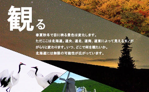 北海道のふるさと納税 北海道 日本旅行 地域限定旅行クーポン15000円分(Eメール発行) チケット 旅行 宿泊券 ホテル 観光 旅行 旅行券 交通費 体験  宿泊 夏休み 冬休み F6S-341