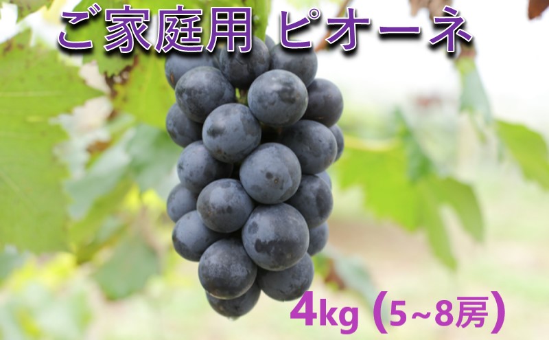 yRszԂǂ y2026N s\z 󂠂 ƒp sI[l 4kg(5`8[)  t[c R sY ɕ