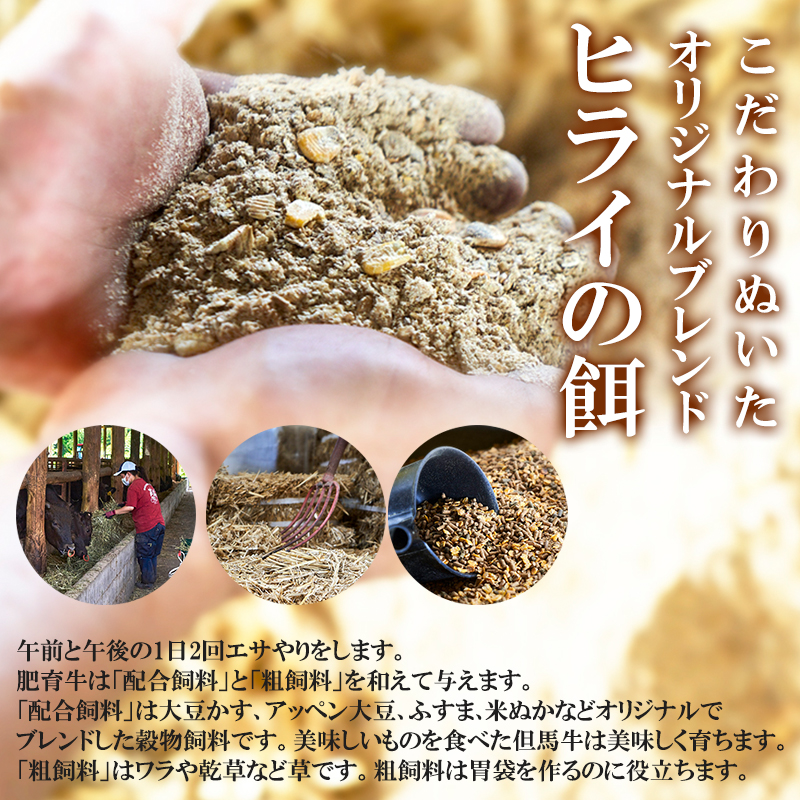 神戸牛カレー ビーフシチュー タンカレー 計4缶 缶詰 神戸牛 レトルトカレー 年内配送 within2025