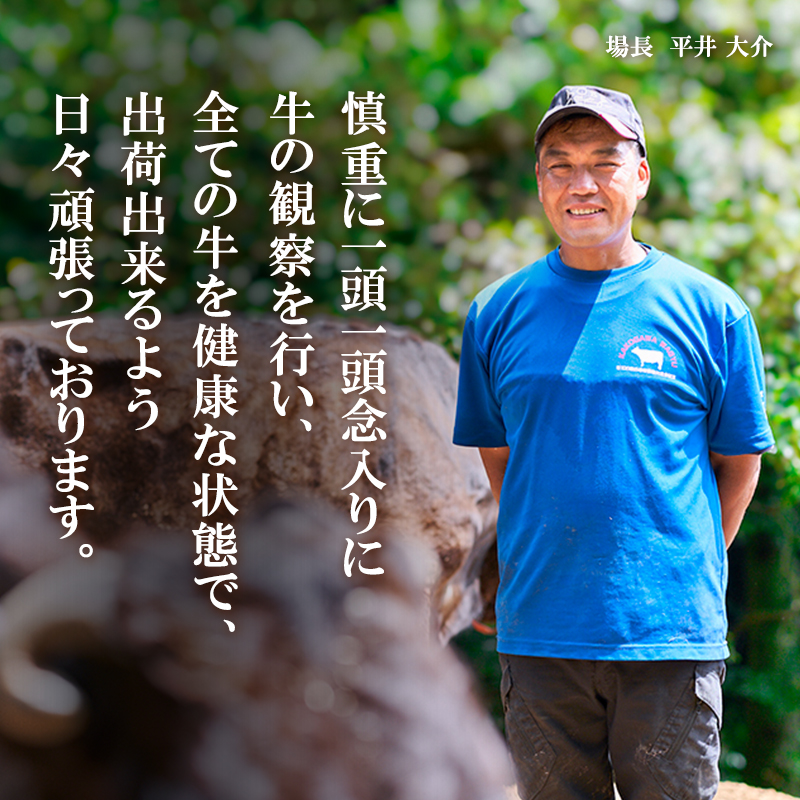 期間限定寄附額 神戸牛カレー 2缶 缶詰 神戸牛 インスタントカレー レトルトカレー 防災食 年内配送 within2025