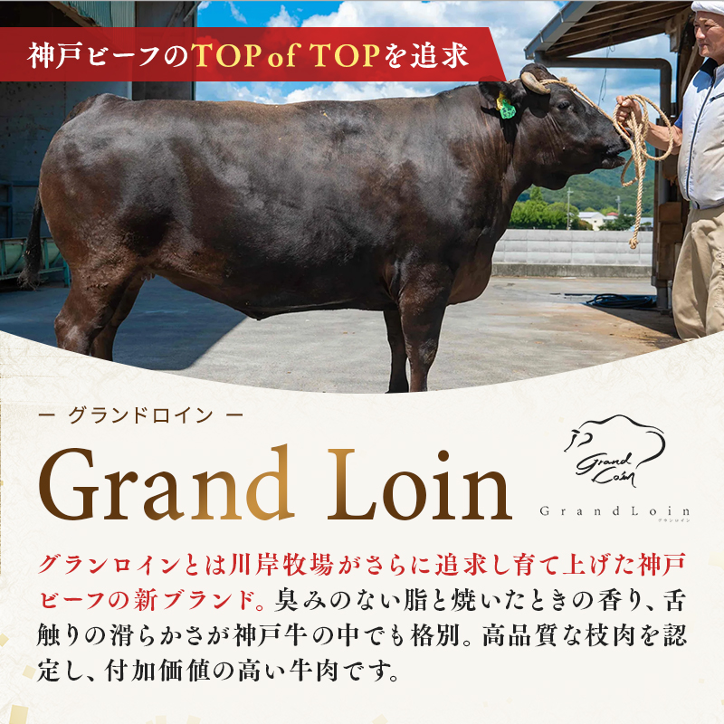 【最短7日以内発送】 神戸ビーフ 神戸牛 牝 上バラ 1500g 1.5kg 川岸畜産 すき焼き しゃぶしゃぶ 焼肉 大容量 冷凍 肉 牛肉 すぐ届く お肉 和牛 食材 グルメ ブランド牛 日本産 国産 夕飯 晩御飯 夜ごはん 