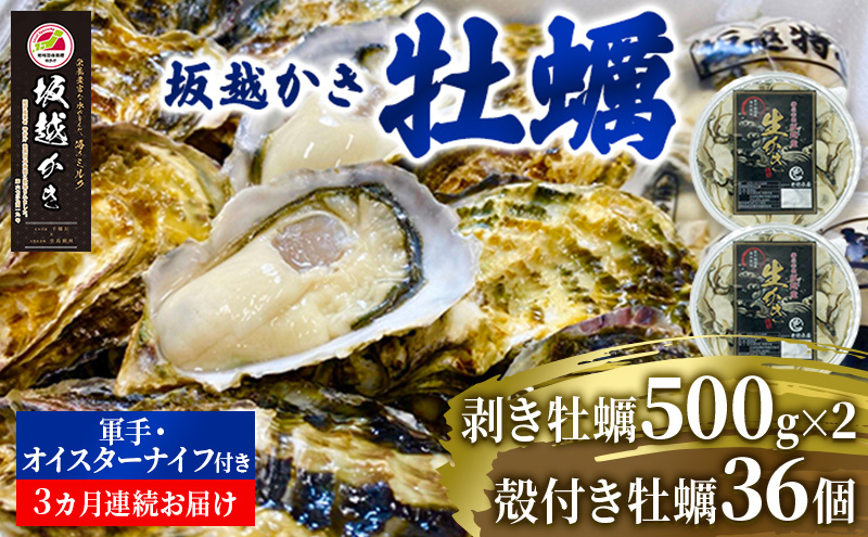 忠臣蔵』全7巻セット 本 赤穂事件 史実 紹介 決定版 文芸 史料