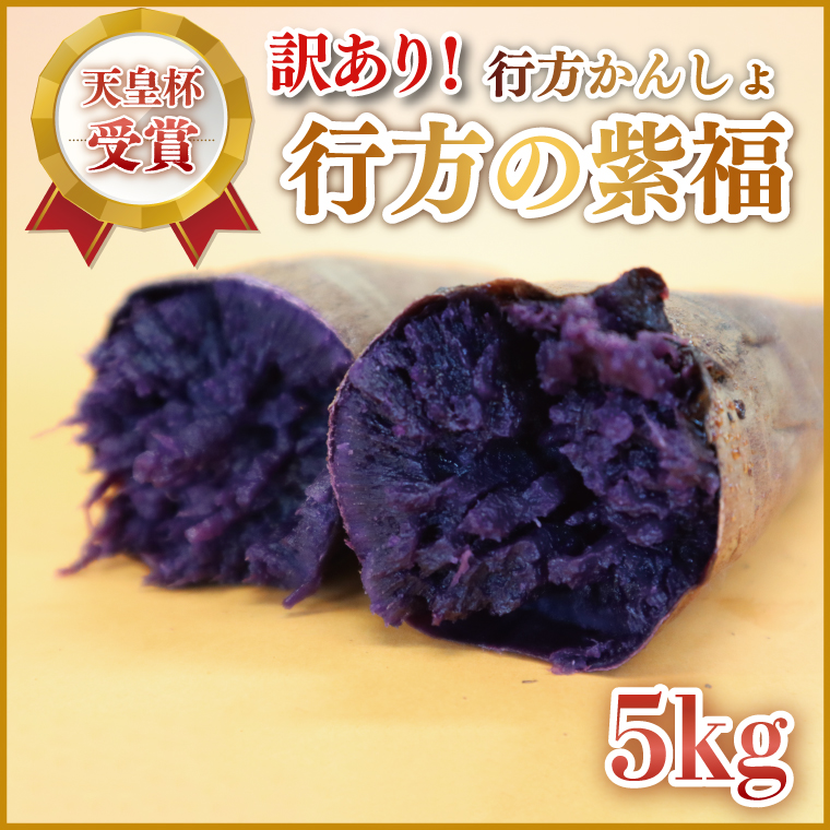 【2026年2月より順次発送】【訳あり】行方かんしょ「行方の紫福」さつまいも約5kg（洗い・不揃い・C品）｜さつまいも サツマイモ さつま芋 お芋 行方の紫福 訳あり わけあり 訳アリ 行方かんしょ 茨城県 行方市(AE-112)