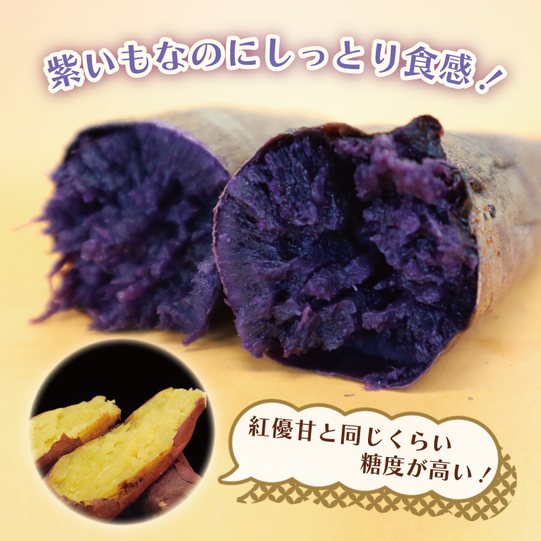 【2026年2月より順次発送】【訳あり】行方かんしょ「行方の紫福」さつまいも約10kg（洗い・不揃い・C品）｜さつまいも サツマイモ さつま芋 お芋 行方の紫福 訳あり わけあり 訳アリ 行方かんしょ 茨城県 行方市(AE-113)