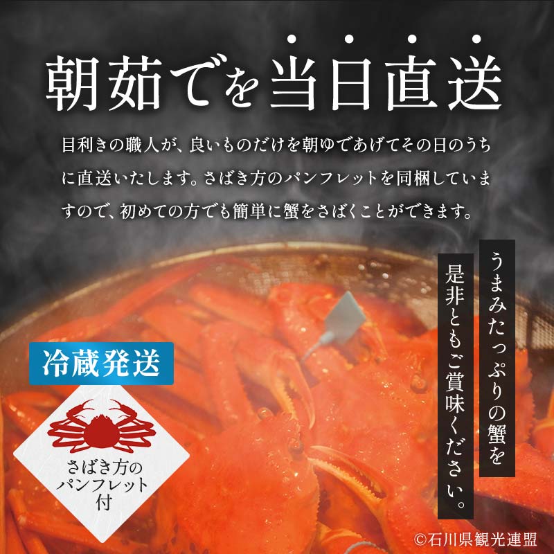 【先行予約】【冷蔵発送】朝茹で加能ガニ（姿1杯）2025年11月上旬以降発送 カニ 朝ゆで 加能蟹 かのうがに 姿 ボイル 蟹 ズワイガニのオス 贈り物 ギフト ご当地 グルメ 海の幸 海産物 食品 F6P-3050