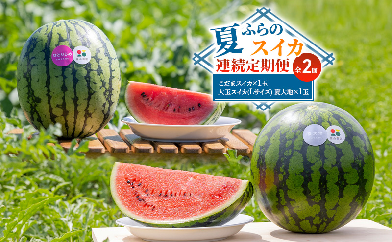 【北海道富良野市】【夏ふらのスイカ連続定期便 全2回】こだまスイカ×1玉 大玉スイカ(Lサイズ) 夏大地×1玉 北海道 富良野産 すいか 西瓜 夏 フルーツ ふらの 甘い 糖度 大玉 ギフト (畠山農園)