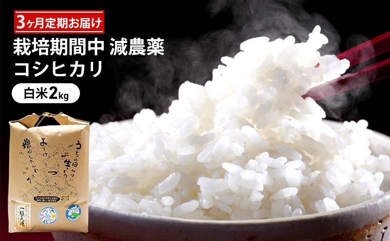 定期便 3回 栽培期間中 減農薬 コシヒカリ 白米 2kg 3ヶ月 定期 お届け
