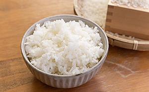 【定期便/全6回】令和7年産 定期便 コシヒカリ 特別栽培 精米 5kg×6カ月