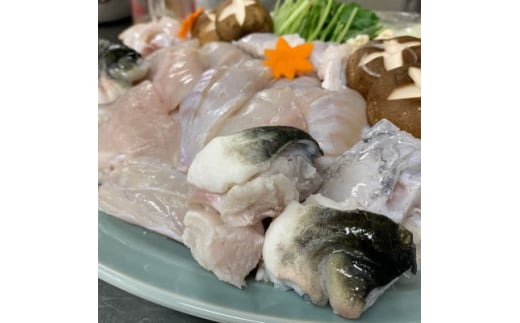 活とらふぐ ちり鍋 セット 1尾 (2～3人前) ＜南知多 料理宿監修＞ ふぐちり 愛知県 南知多町 人気 おすすめ