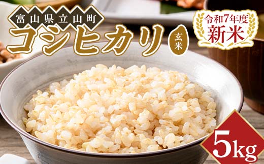 【富山県立山町】【新米】令和7年度米【コシヒカリ玄米5kg】横山ファーム 米 富山県立山町産 こしひかり 玄米 5kg 富山県 立山町 F6T-615