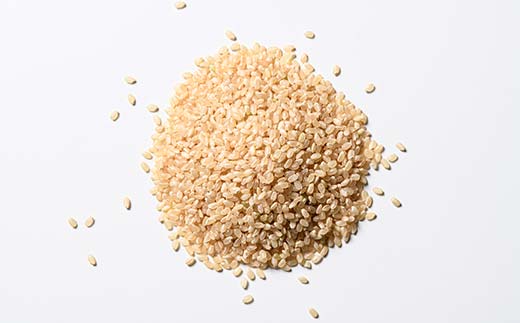 【新米】令和7年度米【コシヒカリ玄米5kg】横山ファーム 米 富山県立山町産 こしひかり 玄米 5kg 富山県 立山町 F6T-615