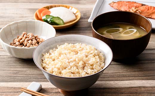 【新米】令和7年度米【コシヒカリ玄米5kg】横山ファーム 米 富山県立山町産 こしひかり 玄米 5kg 富山県 立山町 F6T-615