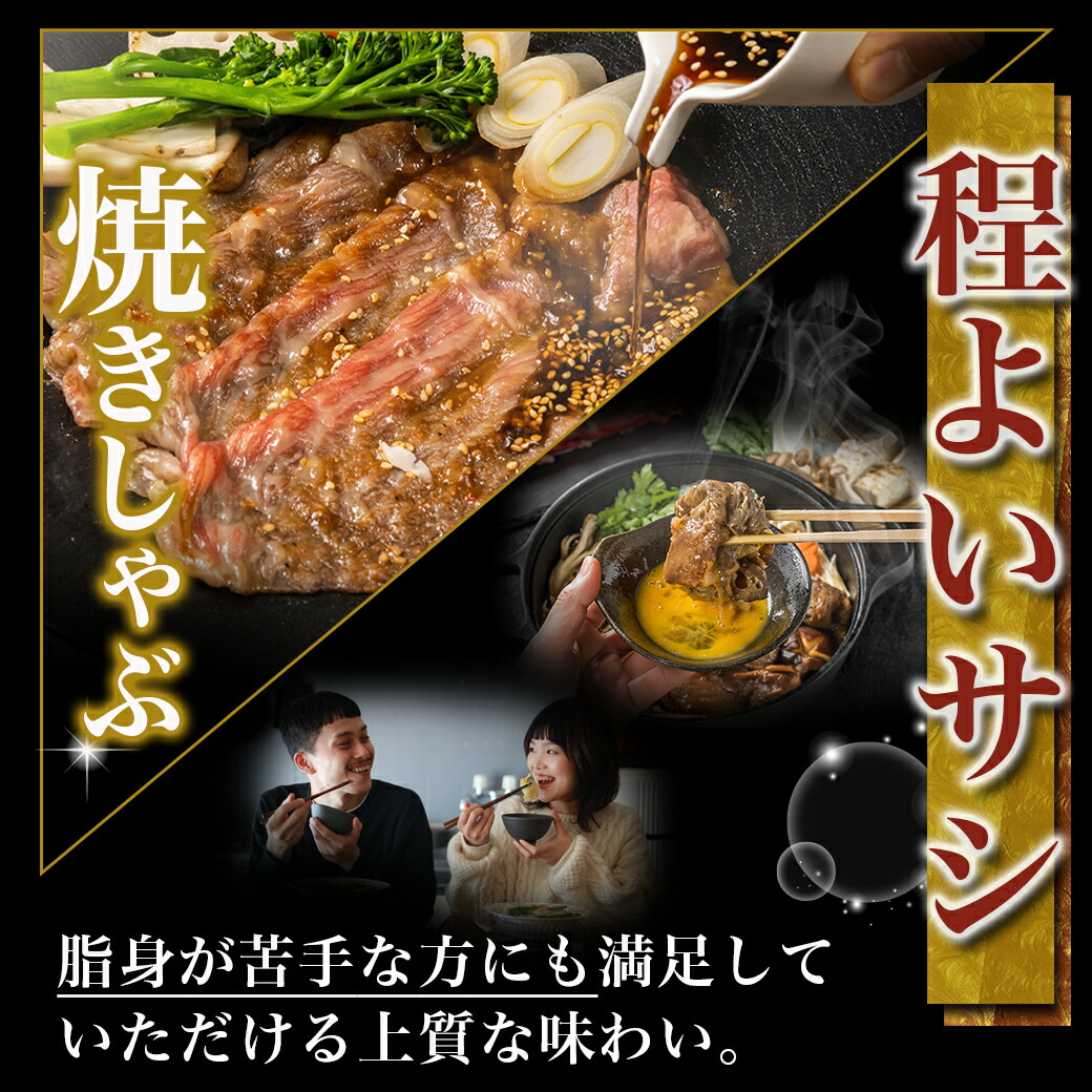 宮崎県都城市のふるさと納税 宮崎牛モモスライス(500g×2P)_17-N401