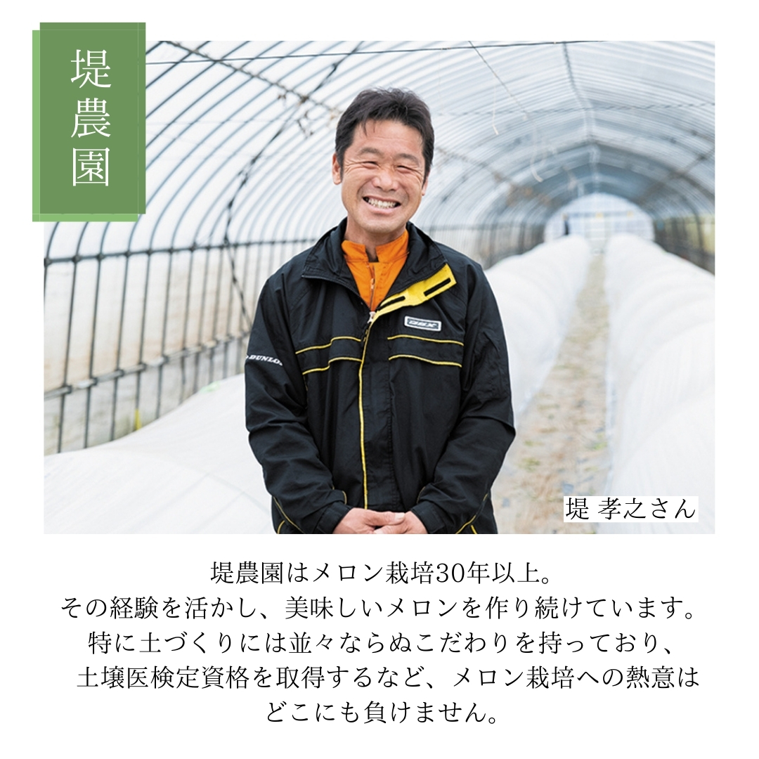 茨城県八千代町のふるさと納税 【先行予約 2026年6月中旬発送】  タカミメロン 秀品 1箱 2玉入り 期間限定 産地直送 果物 フルーツ メロン 青肉 甘い[AV010ya]