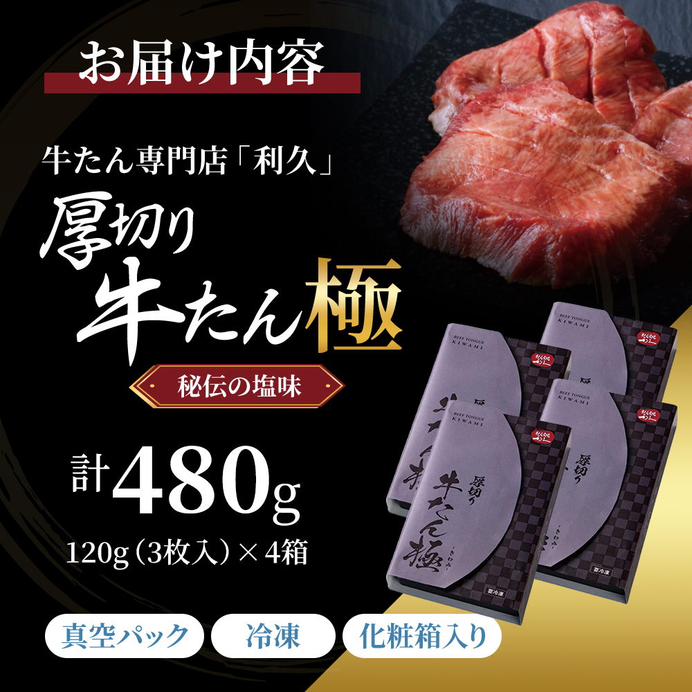 【特別寄附額】 牛タン 極 480g (120g×4個) セット 利久 牛たん 熟成肉 タン塩 厚切り牛タン 牛 牛肉 肉 お肉 タン タン中 タン元 厚切り 焼肉 焼き肉 惣菜 おかず ごはんのお供 ギフト プレゼント お歳暮 お土産 冷凍 冷凍配送 宮城 宮城県 岩沼市