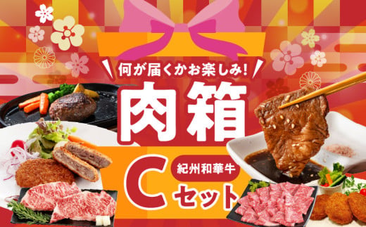 BN6137_お楽しみ肉箱 Cセット お試し ドキドキ 黒毛和牛 ハンバーグ メンチカツ ステーキ ロース ヒレ 焼肉 すき焼き しゃぶしゃぶ 盛り合わせ コロッケ ローストビーフ 食品 和歌山県 湯浅町 送料無料 