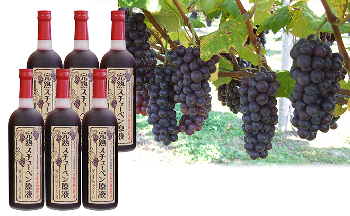 yXߓczÌyߓcY@nX`[xt720ml×6{ ʕ Ԃǂ t[c ʎ W[X