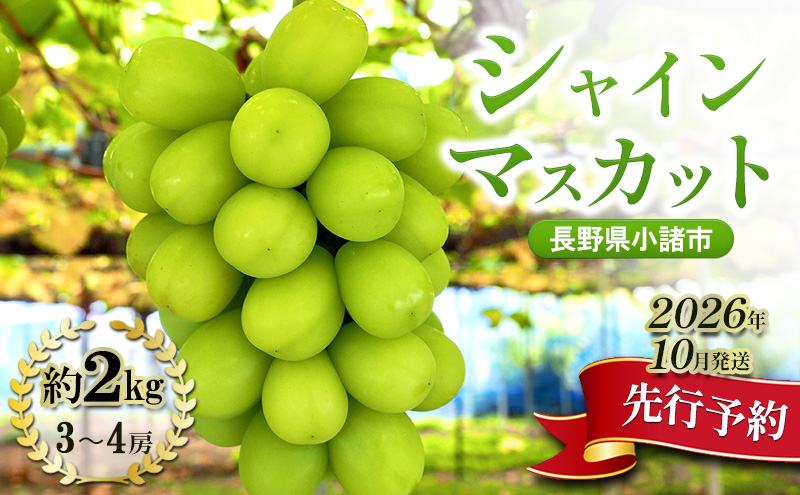 y쌧szys\^2026N10zVC}XJbg2kg 3`4[ dʕۏ MB  ʕ t[c Ԃǂ uhE 햳 Â n Gߌ p 嗱 Yn VN   Mtg