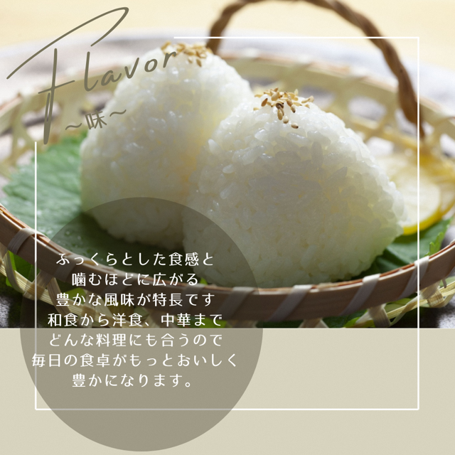 令和7年産予約 京都丹波産 キヌヒカリ 5kg 白米